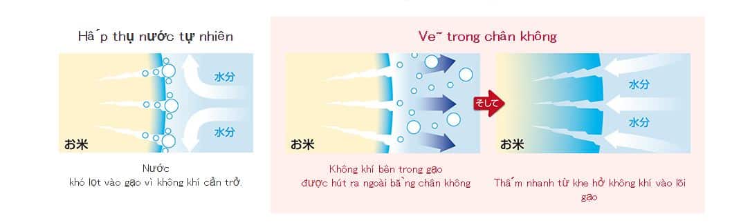 Nồi Cơm Nội Địa Nhật