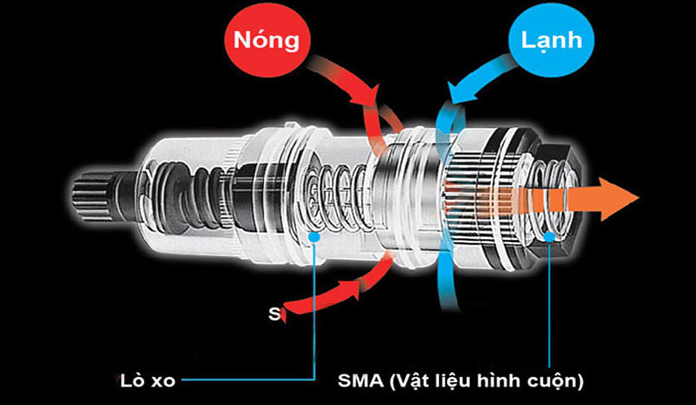 Sen Tắm Toto Tbv03404J