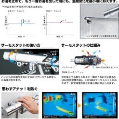 Sen Tắm Toto Tmgg40E Có Không Chế Nhiệt Độ 