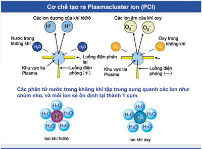Cơ Chế Hoạt Động Tạo Ra Ion Plasmacluster