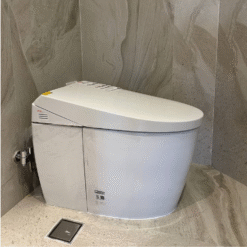 Bồn Cầu Thông Minh Toto Ces9720 Nguyên Khối