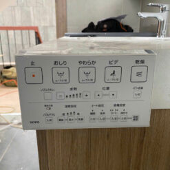 Bồn Cầu Thông Minh Toto Ces9435 Nguyên Khối