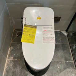 Bồn Cầu Thông Minh Toto Ces9435 Nguyên Khối