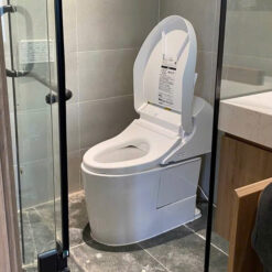 Bồn Cầu Thông Minh Toto Ces9435 Nguyên Khối