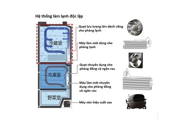 Tủ Lạnh Hitachi R-Hw62V Dung Tích 617 Lít Tủ Lạnh Hitachi R-Hw62V
