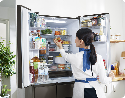 Tủ Lạnh Mitsubishi Mr-Wxd70M-H: Đánh Giá Chi Tiết